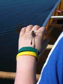 Dragonfly on Whitney