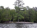 Oyster Lake East Campsite