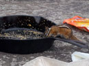 Alvin in the Frypan