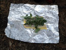 Baking lake trout with basil.