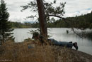 Taking a break from fishing & swimming.