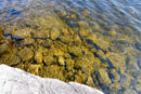 Clear water at campsite, Seagull Lake, August 2017.