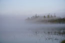 Morning mist on Poplar Lake, August 2017.