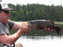 Nice 21? smallie