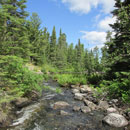 Creek out of Basswood