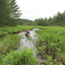 Cutty Creek