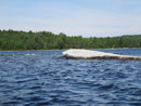 Whale Breach