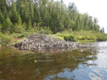 Aspen Lake, off Clearwater Road.