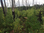 Fun portage.