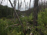 Portage needs a little work.