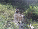 Too thick to drink and too thin to plow.  (Mark Twain?)