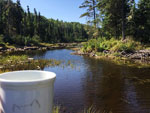 North of Musclow outside of WCPP.  One of the most beautiful places I've ever been.