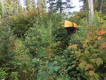 Somewhere on a portage (or lack of one) in WCPP.