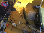 An oldie but goodie pic of a not so clean canoe.