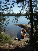 Safe Harbor