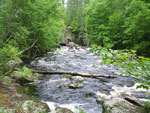 June in Quetico