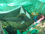 Prison cell in mosquito hell