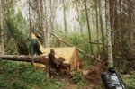 Camp on Pillsbery Lake, 22-day BWCA trip, June/July 1992