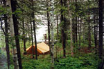 View of Gordon Lake campsite from the biffy trail.  1992