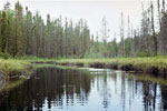 Cherokee Creek, 1992.  On our 22-day BWCA canoe trip.