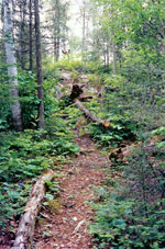 Can you see me waving at the very top of the hill?  Juno Lake, 1992.