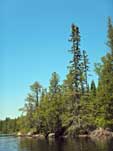 Poplar Lake, June 2022