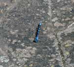 Bluette damselfly, on the trail to Magnetic Rock, June 2022