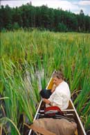 Allan Creek, August 2004