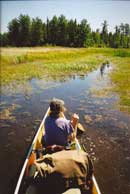 Poobah Creek toward Wink Lake, August 2004