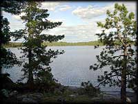 Quetico view