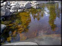 Shoreline
