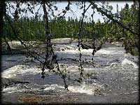 Chatterton Falls