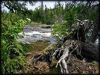 Chatterton Falls