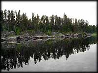 Reflections