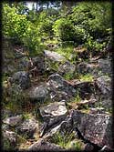 Portage trial