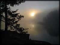 Dawn