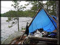 Set up a tarp