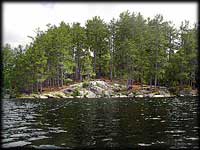 Campsite