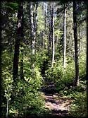 Portage trail